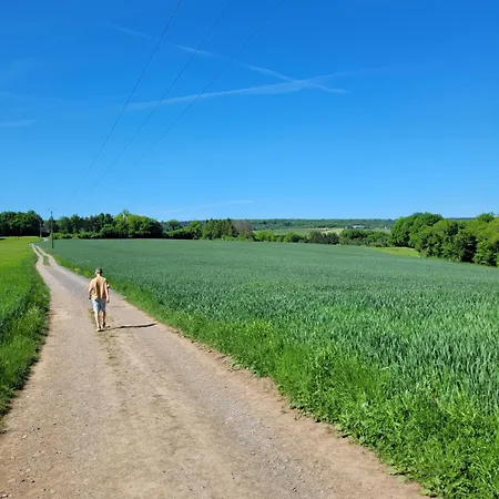 A Wood - Zwembad - Relax - Chalet