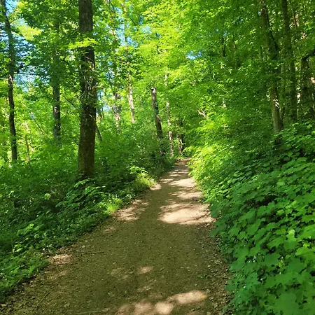 A Wood - Zwembad - Relax - *